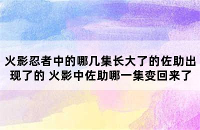 火影忍者中的哪几集长大了的佐助出现了的 火影中佐助哪一集变回来了